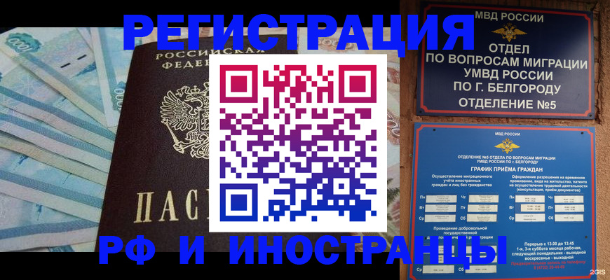 временная регистрация недорого в Щёлкино